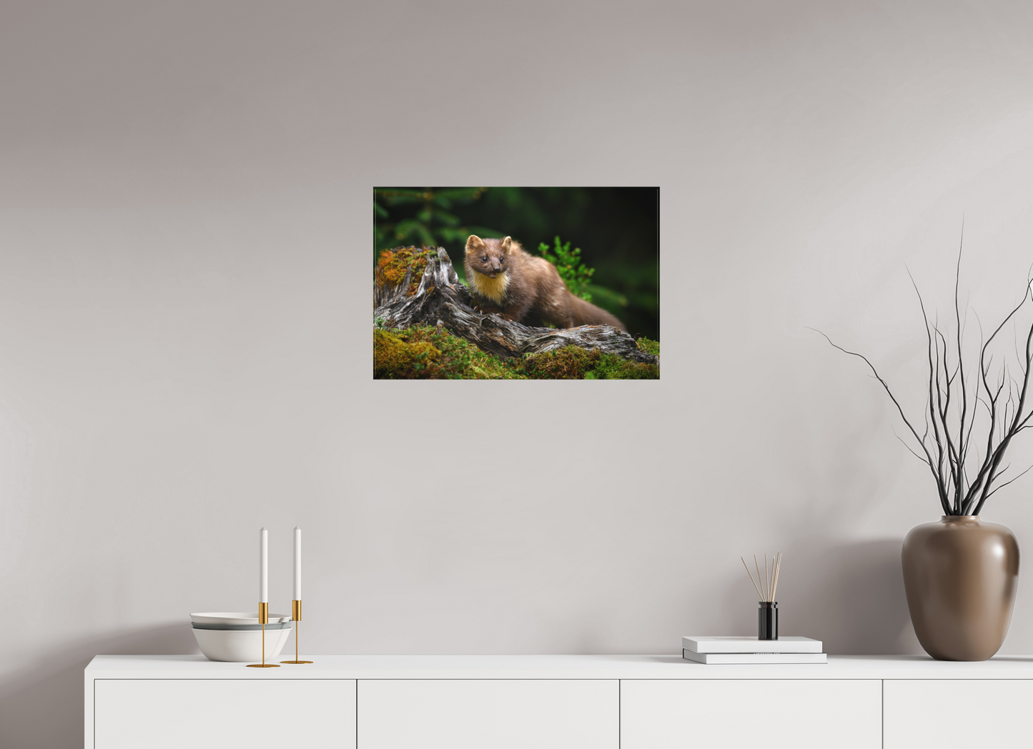 Pine marten on old tree root