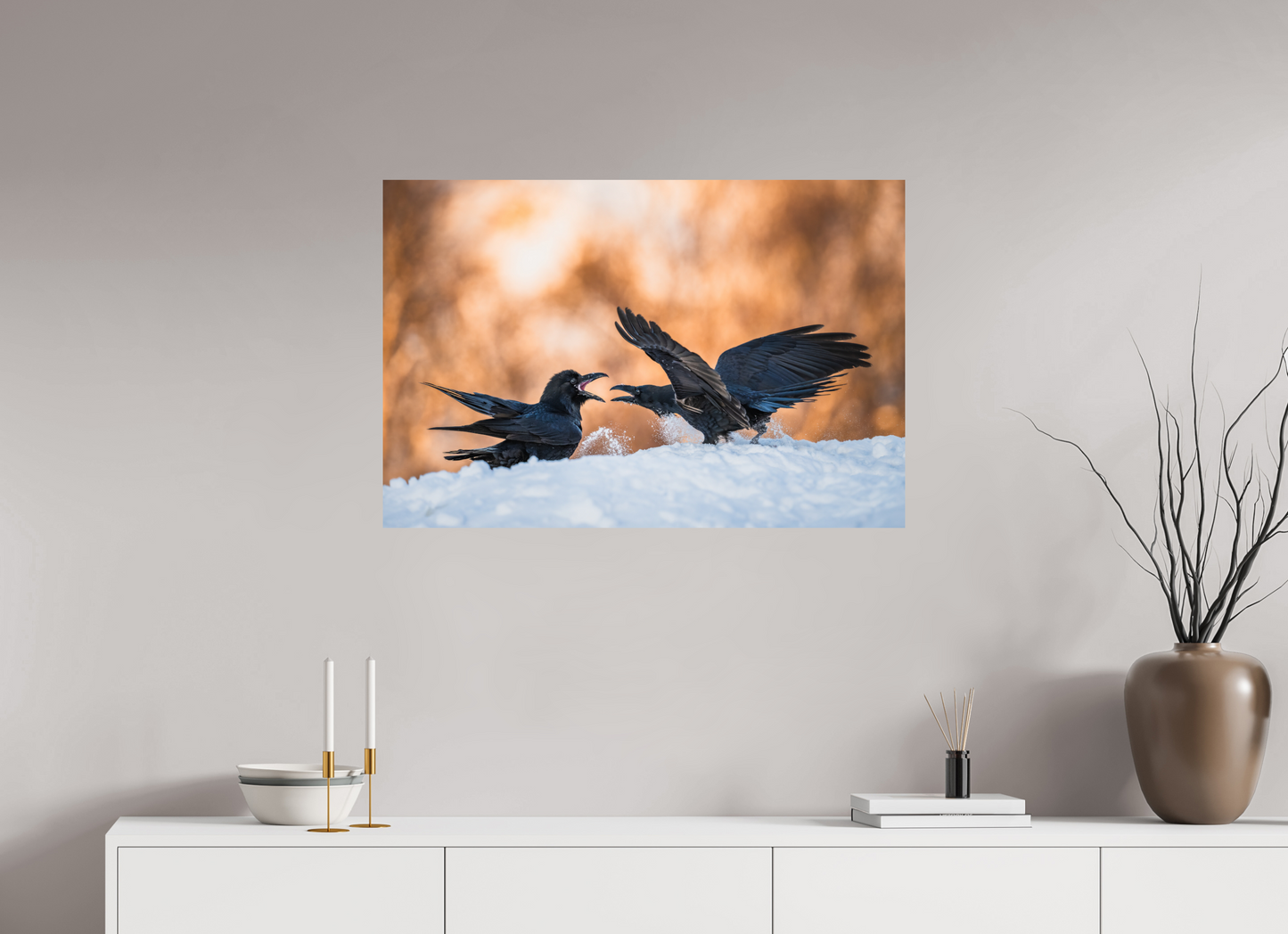 Ravens fighting in the snow