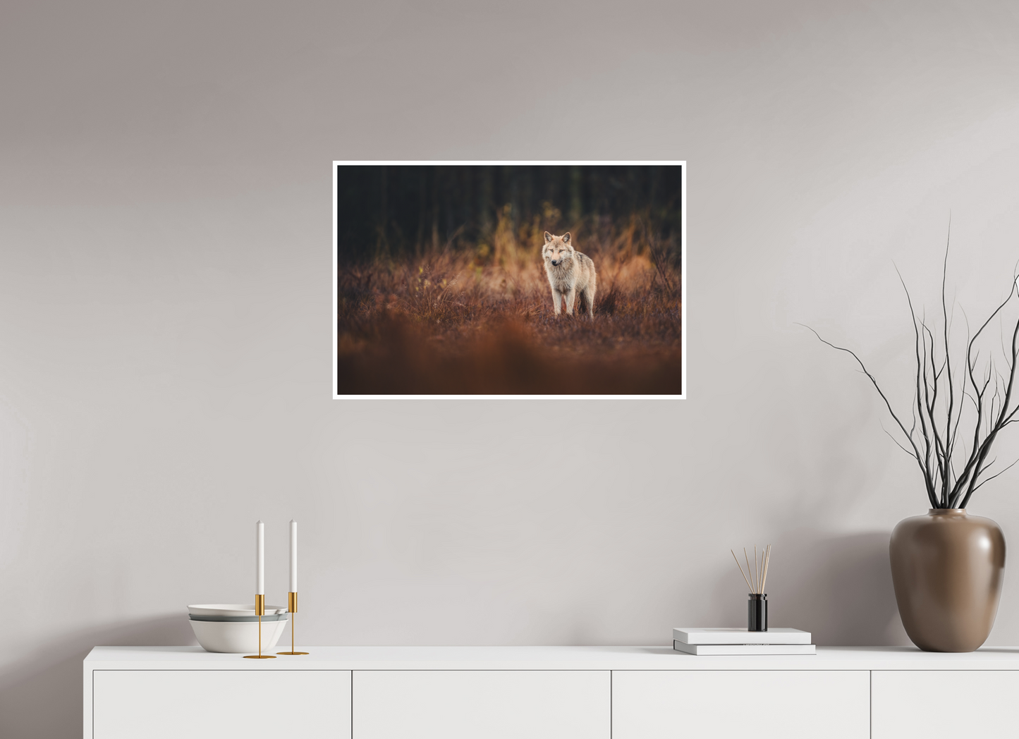 Wolf in autumn surroundings