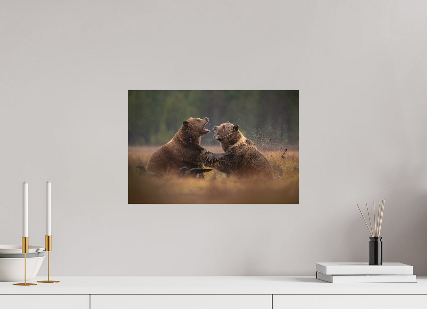 Fighting brown bears