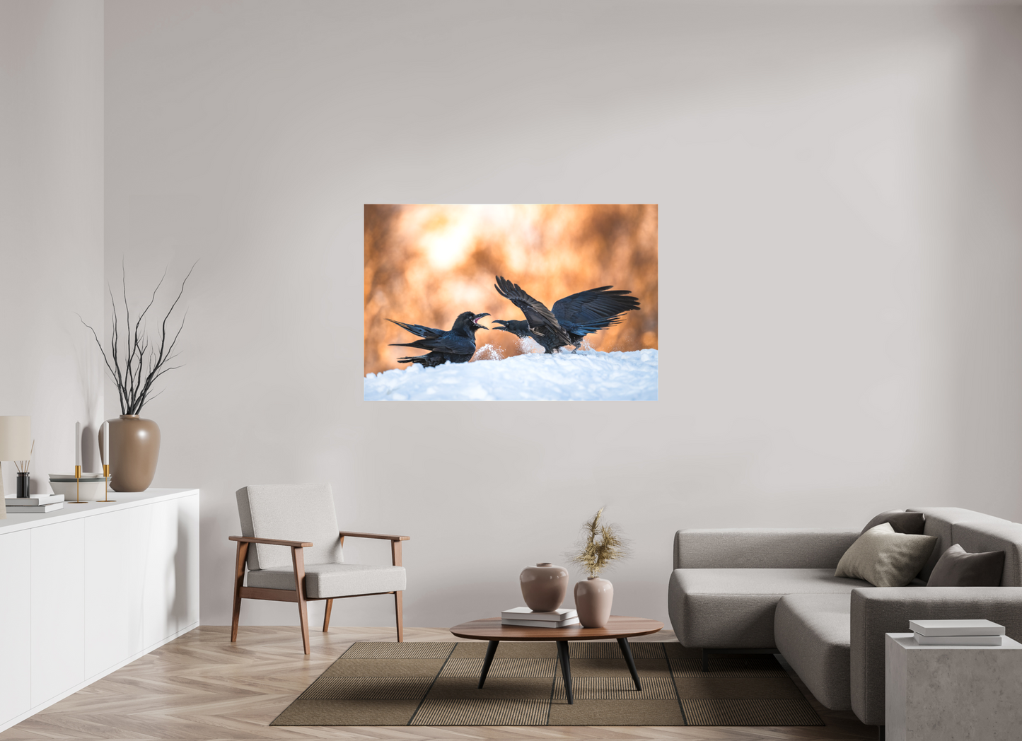 Ravens fighting in the snow