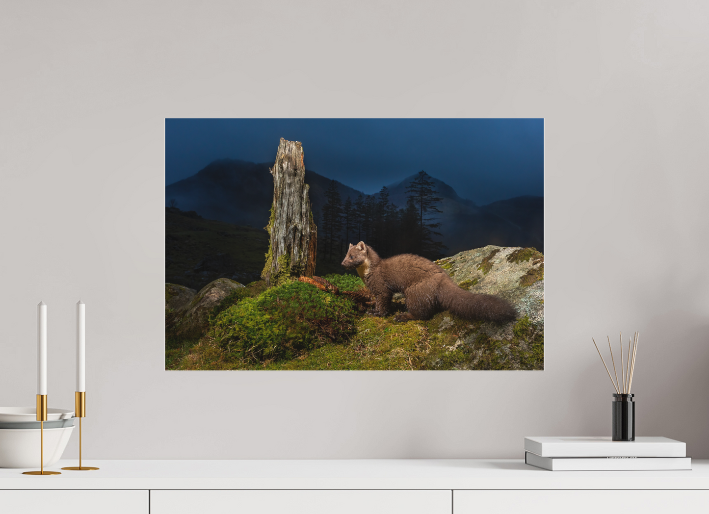 Pine marten in the blue hour