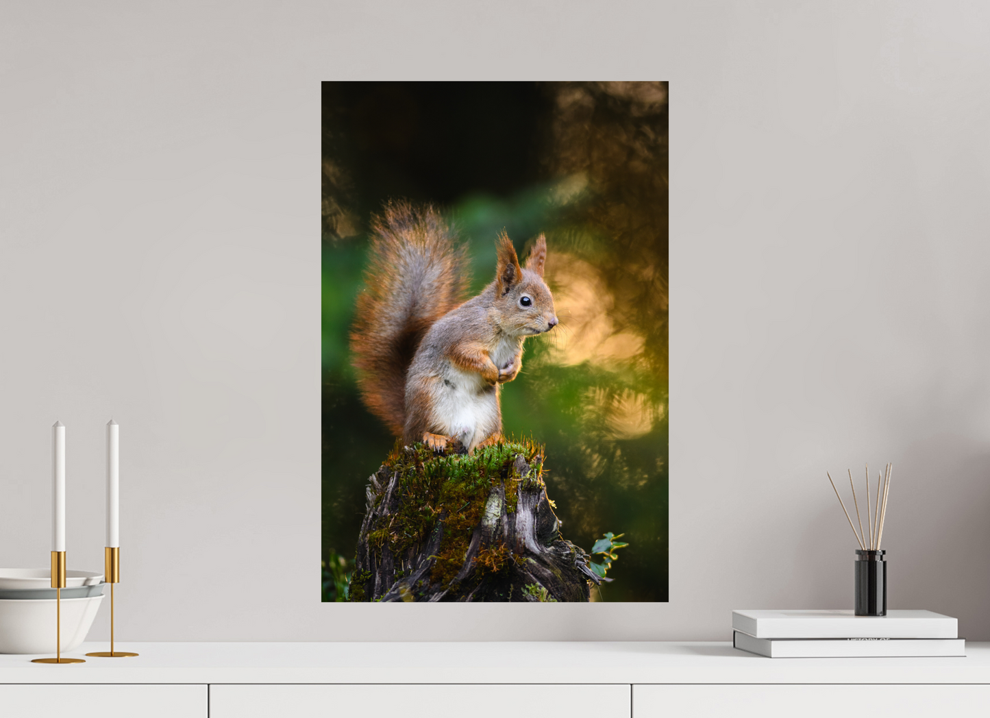 Squirrel in the summer forest