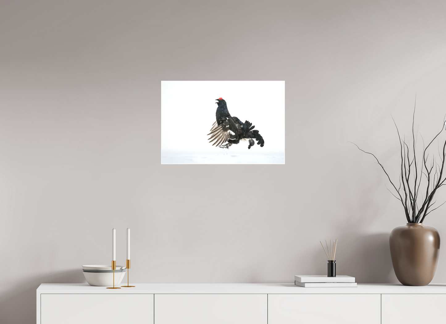 Jumping black grouse