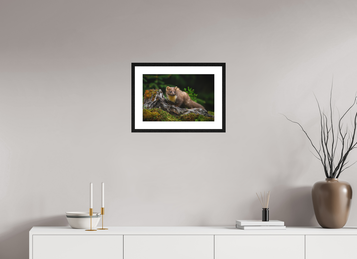 Pine marten on old tree root