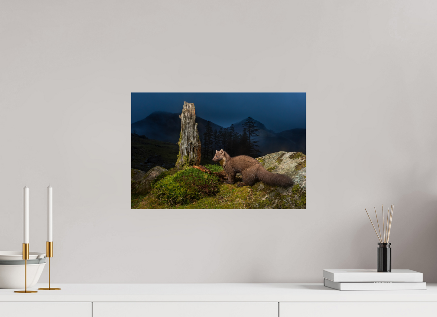 Pine marten in the blue hour