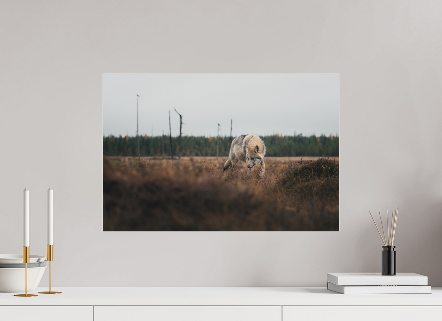 Lurking wolf
