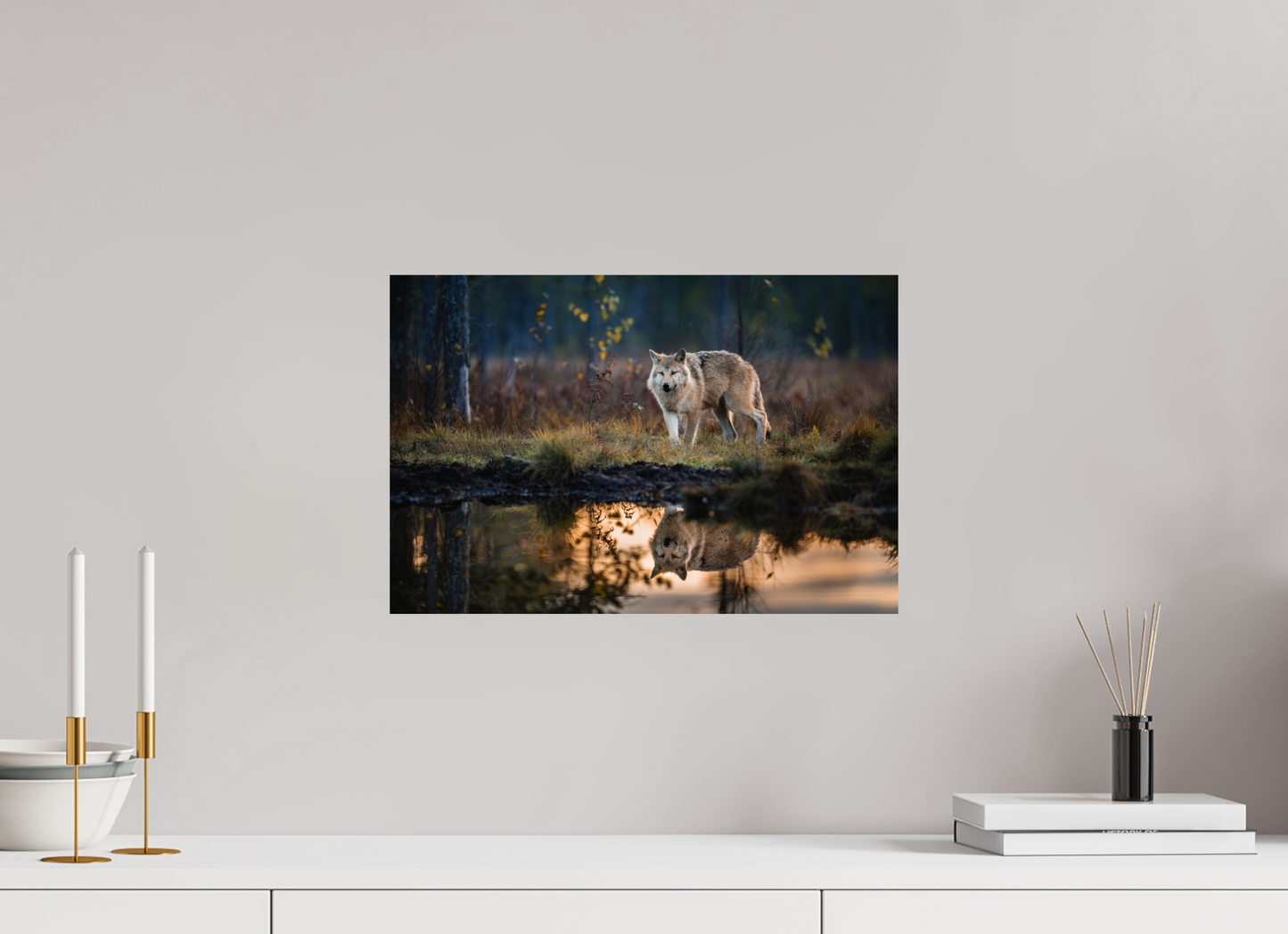 Wolf at the pond