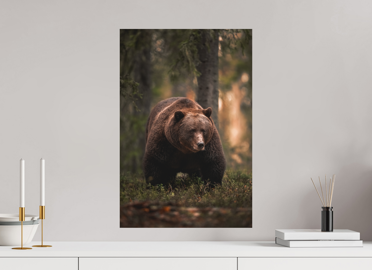 Bear in the evening forest