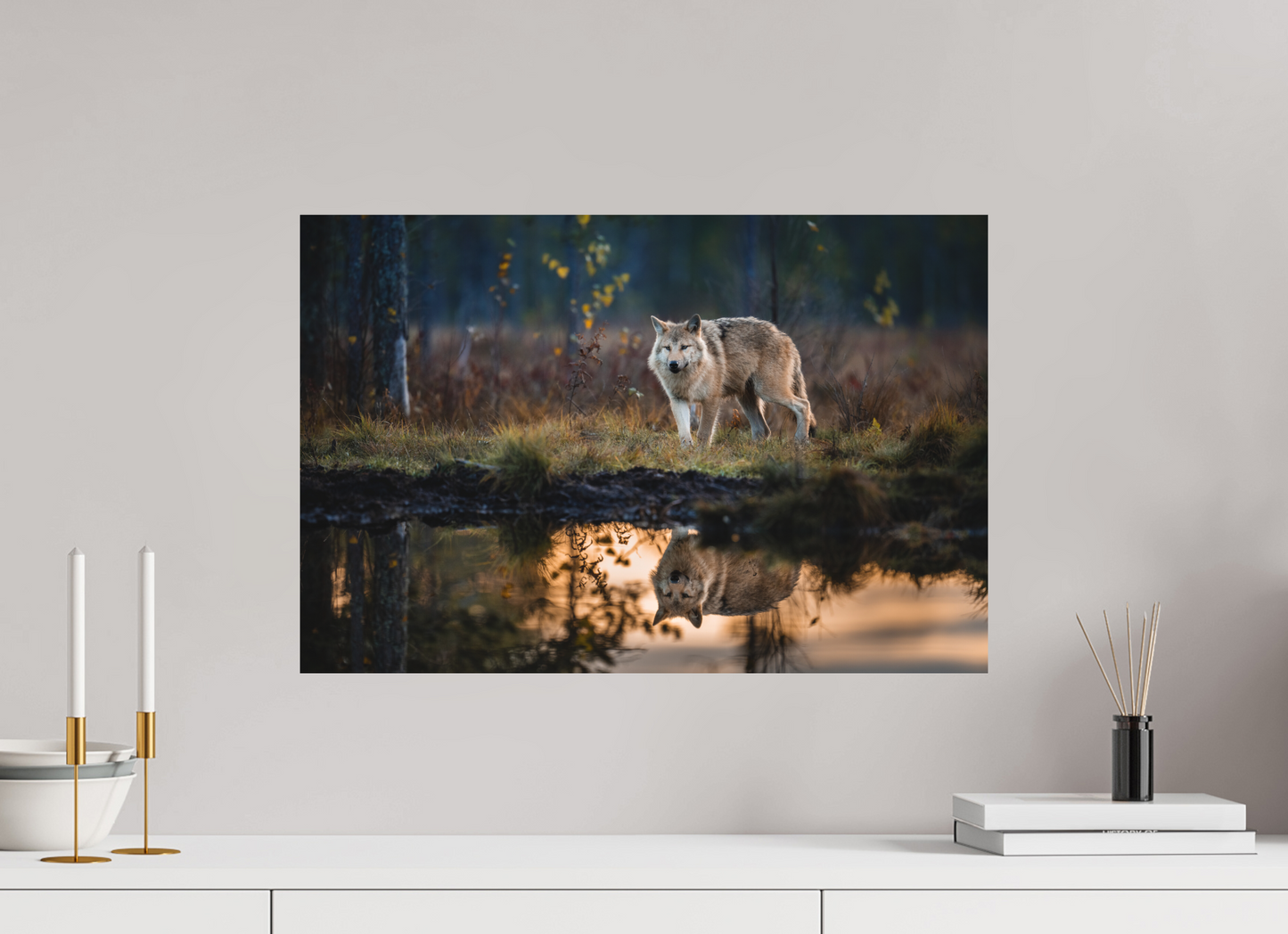 Wolf at the pond