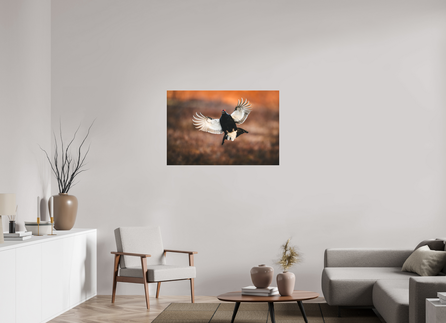 Black grouse in flight