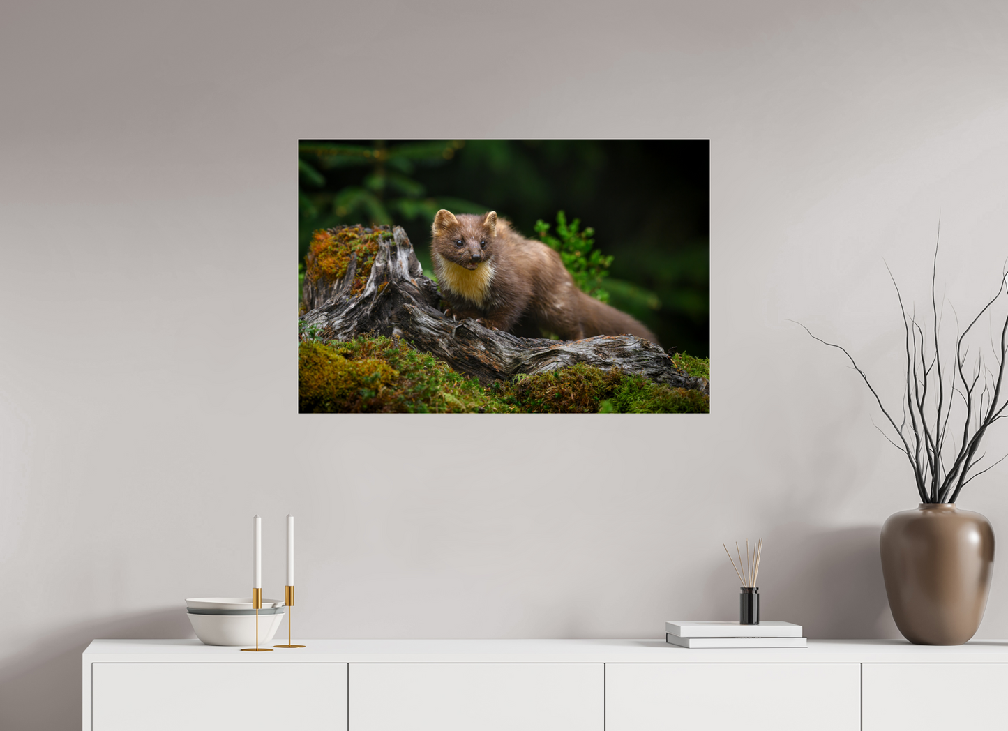 Pine marten on old tree root