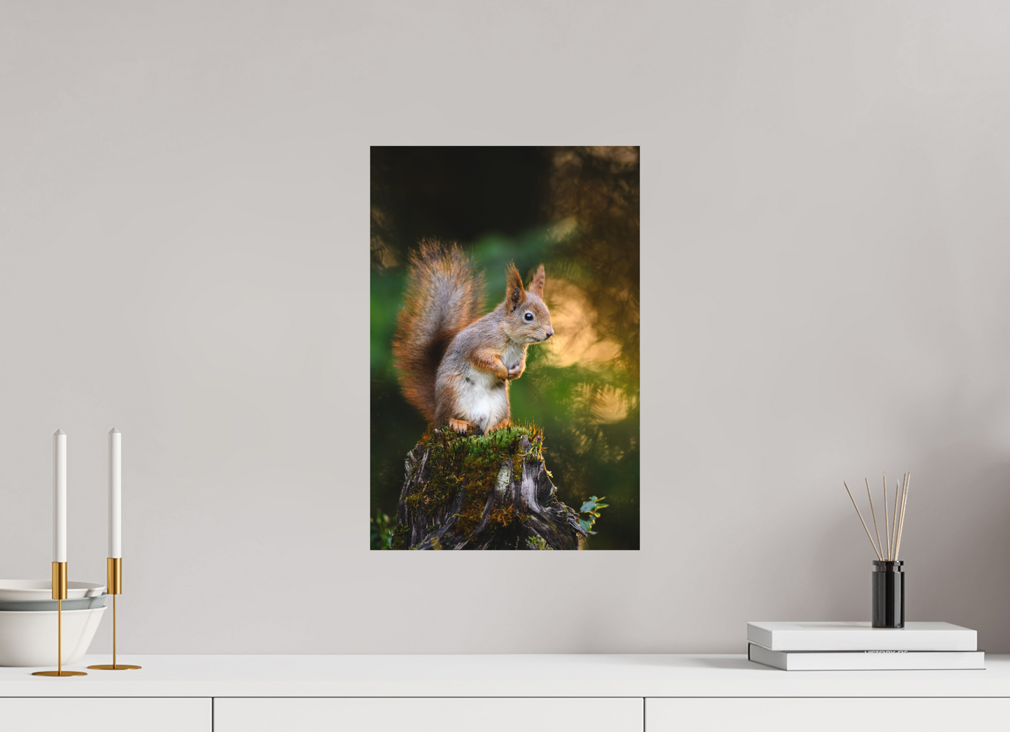 Squirrel in the summer forest