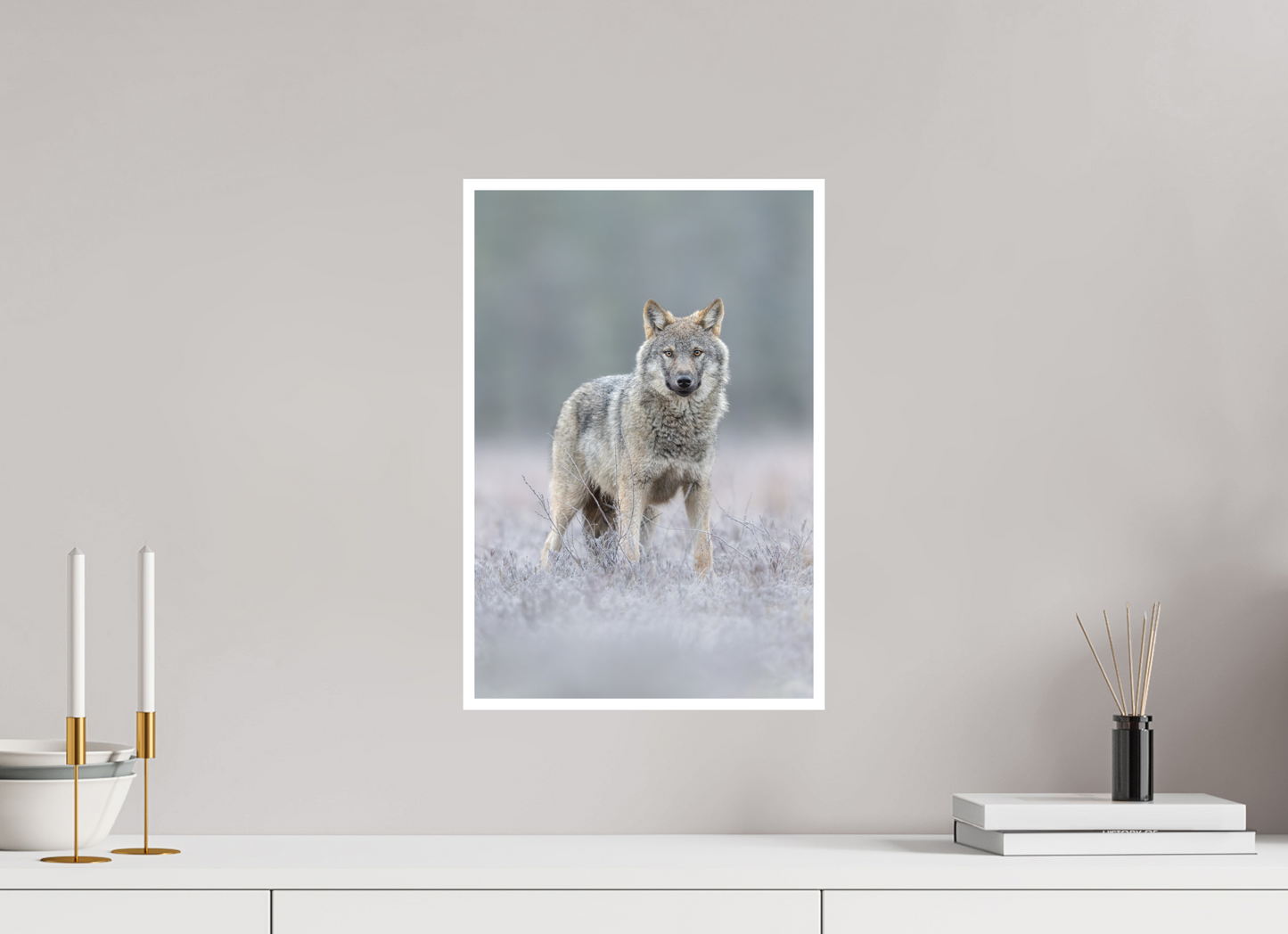 Wolf on frozen ground