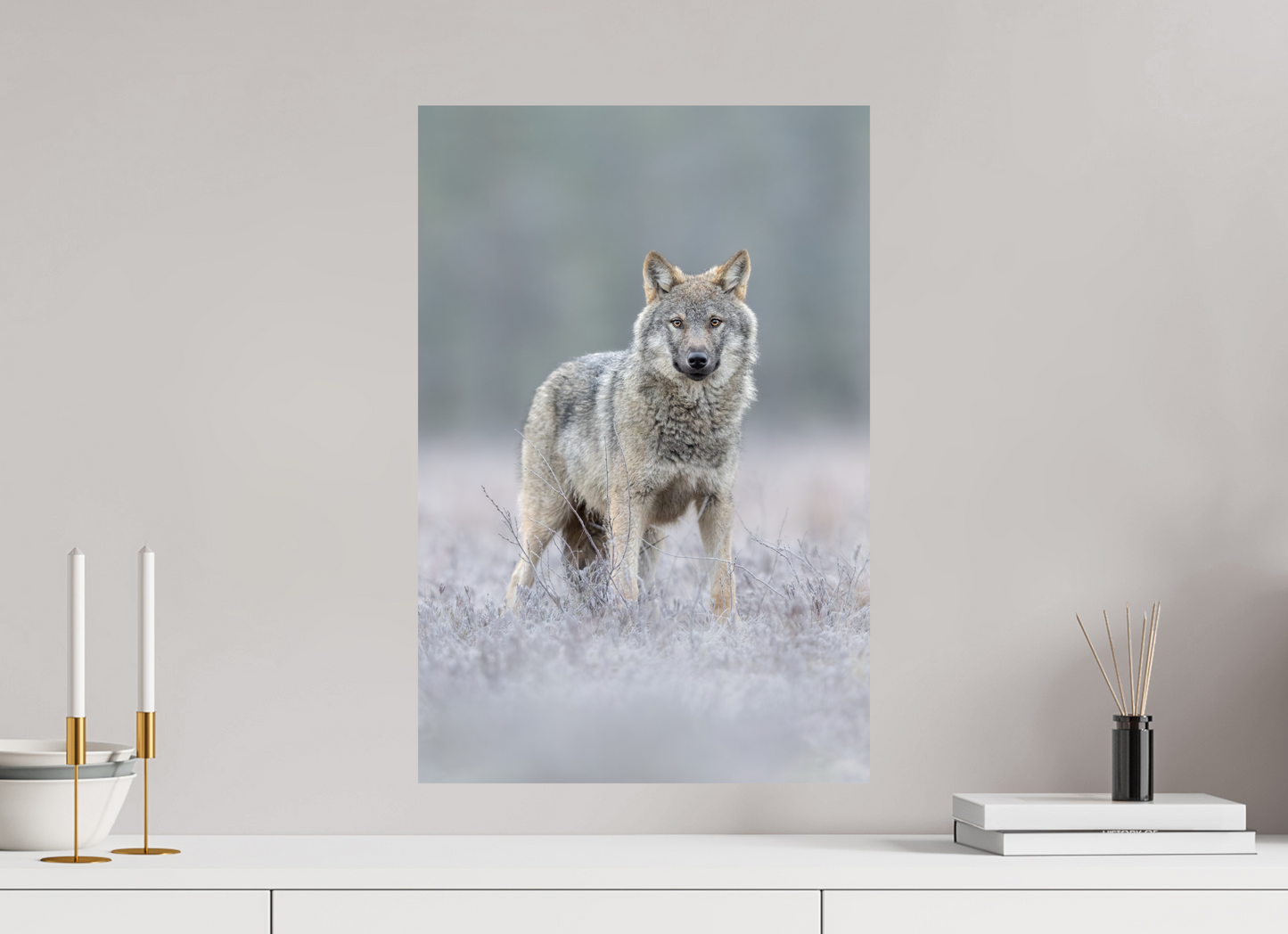 Wolf on frozen ground
