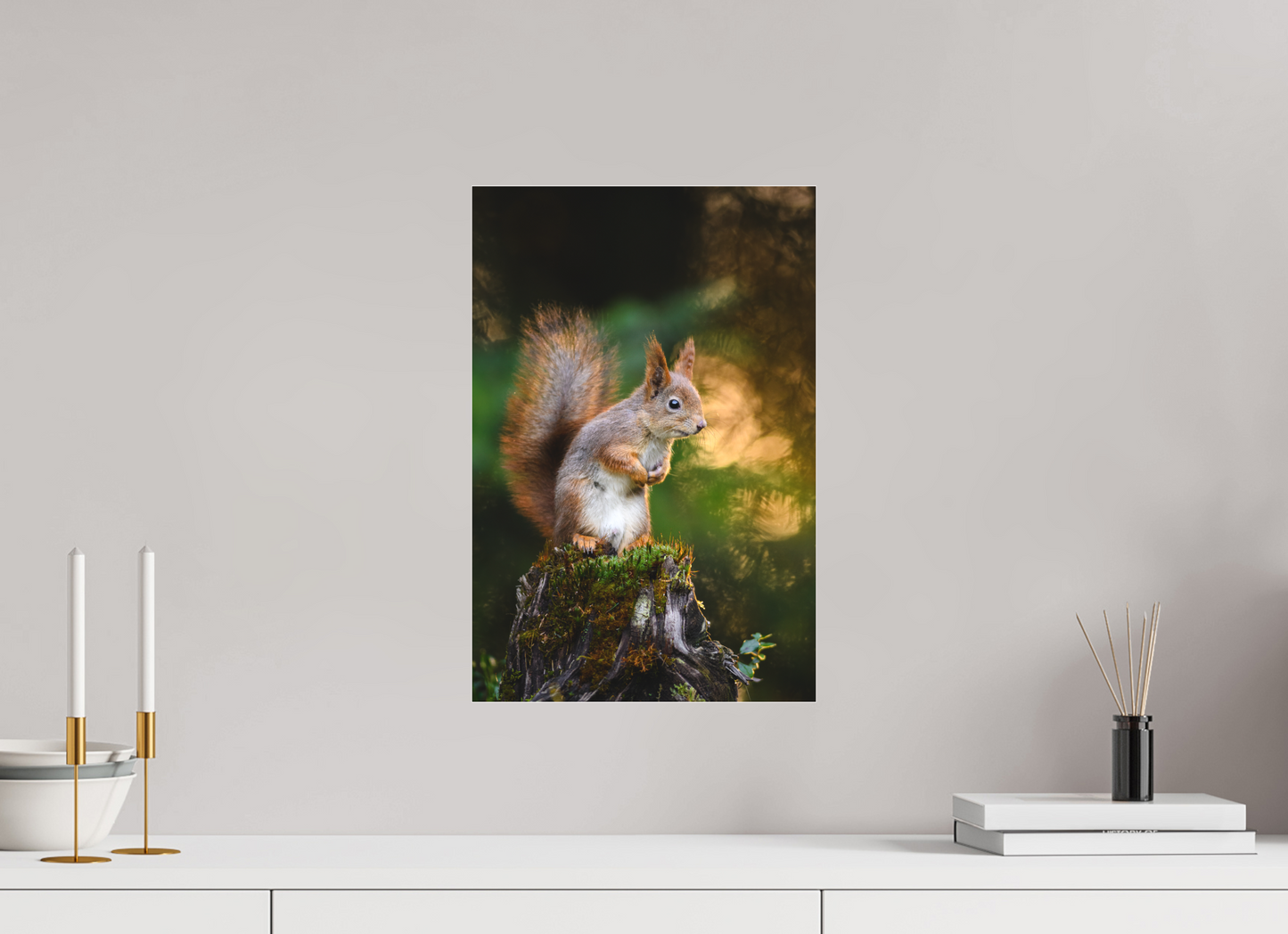 Squirrel in the summer forest