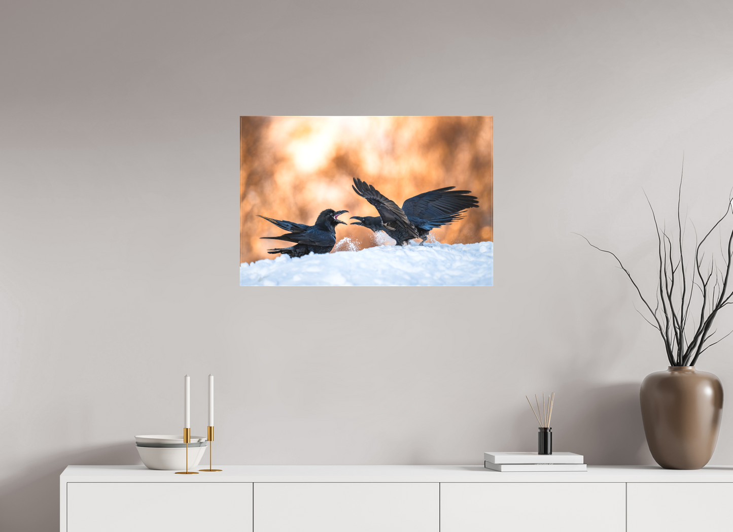 Ravens fighting in the snow