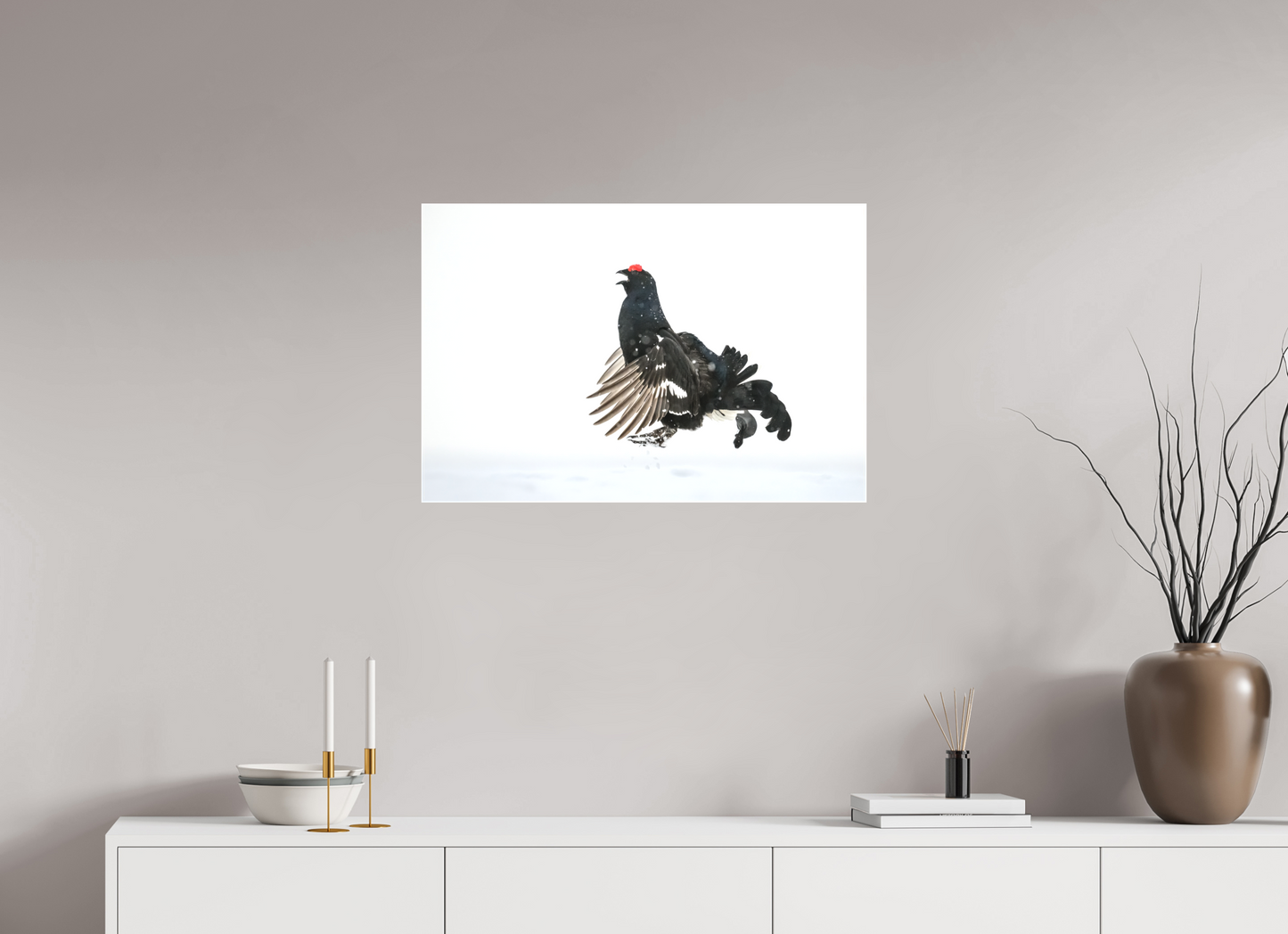 Jumping black grouse