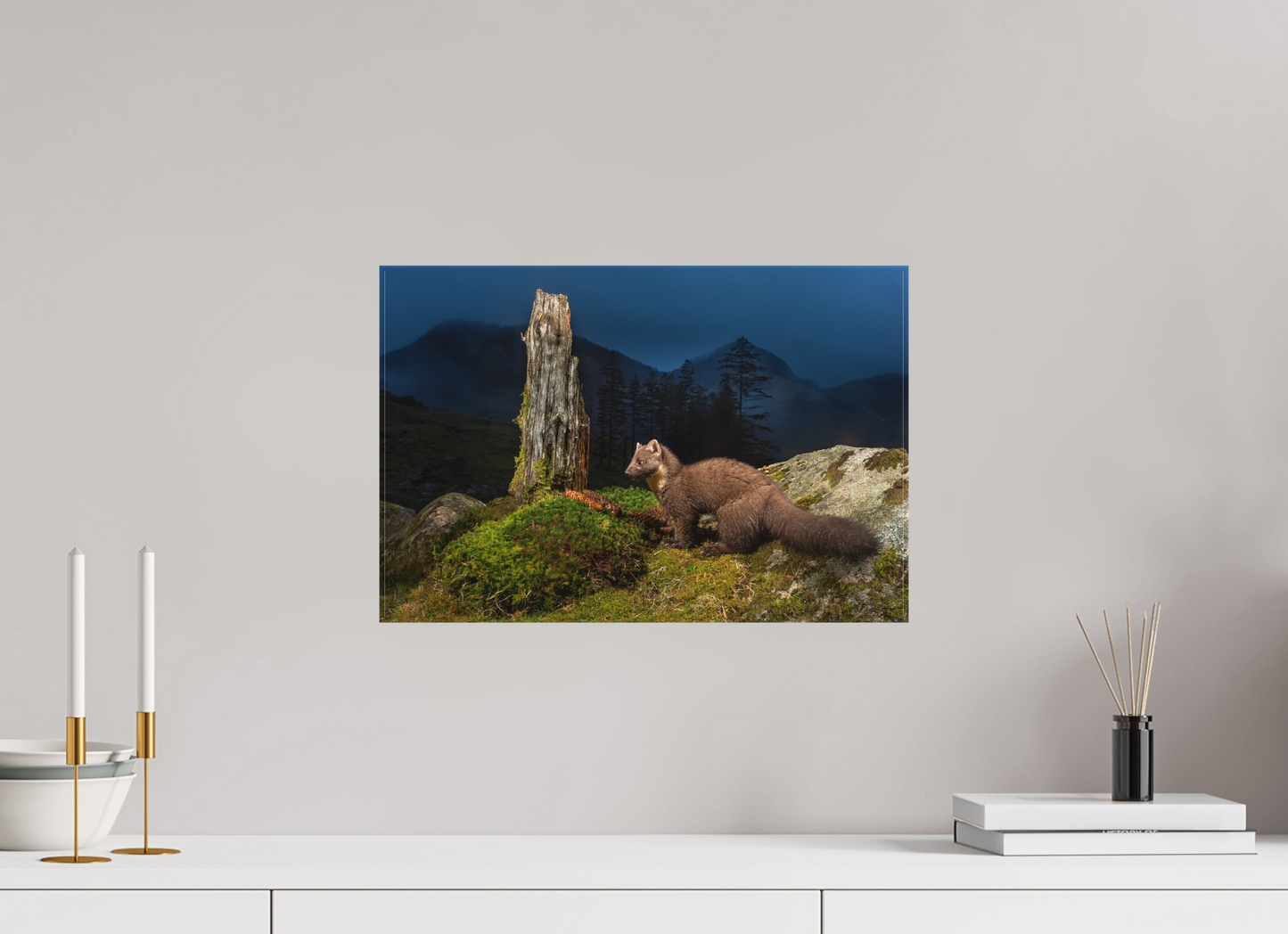 Pine marten in the blue hour