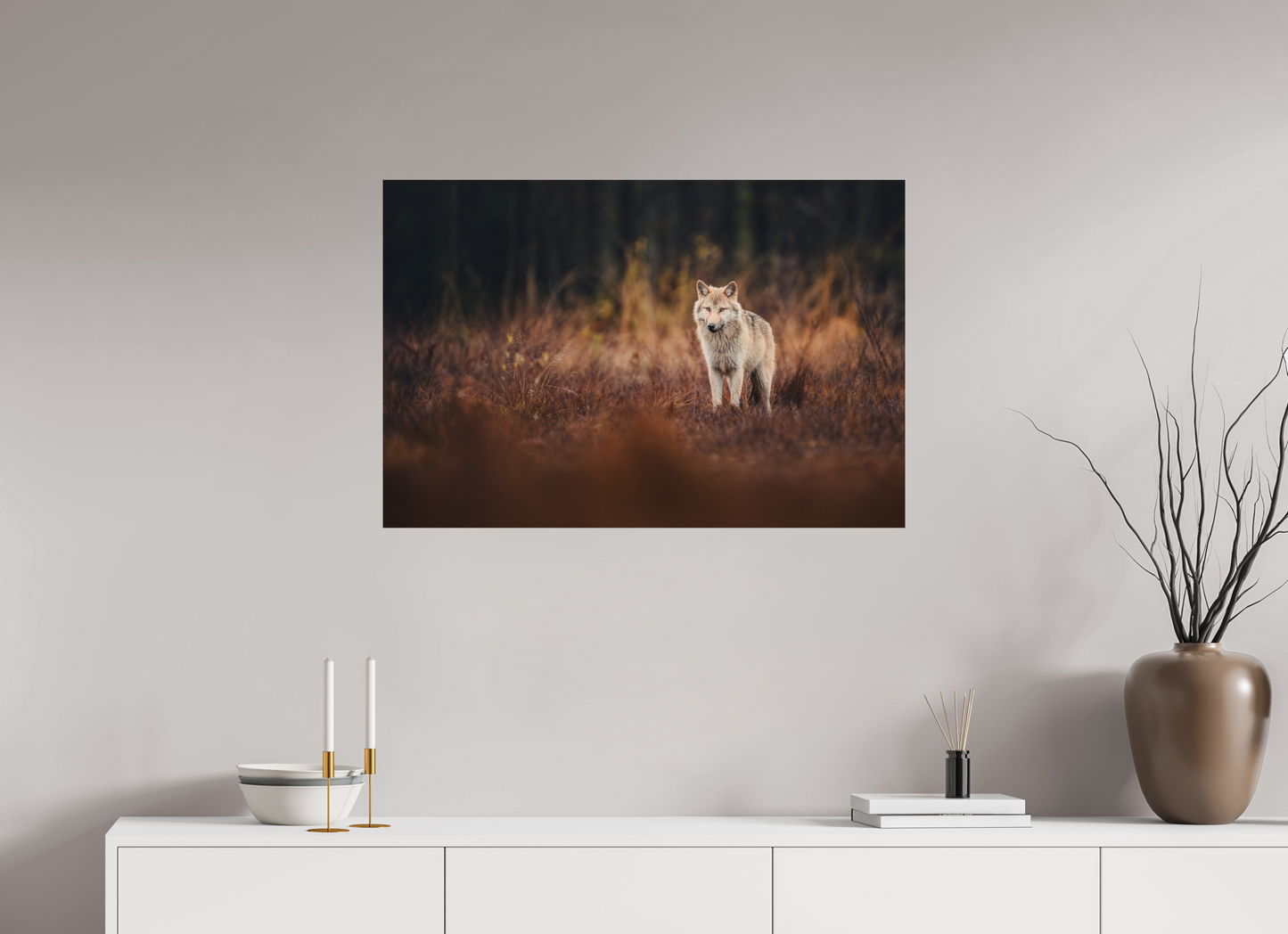 Wolf in autumn surroundings