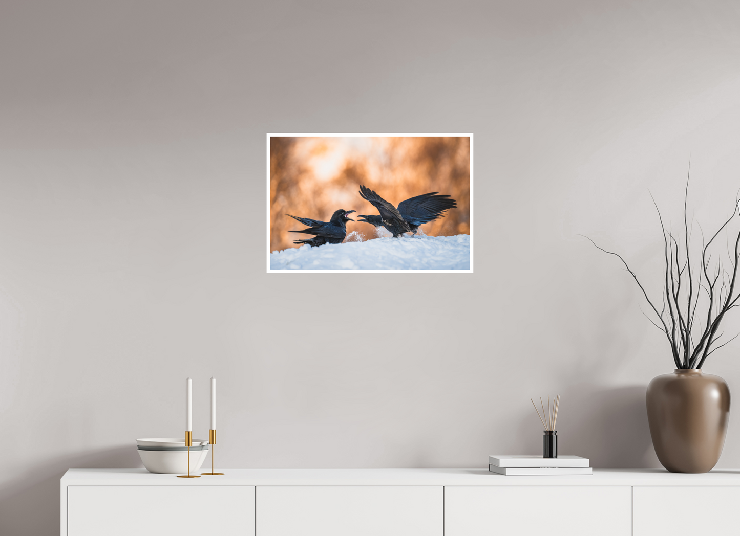 Ravens fighting in the snow