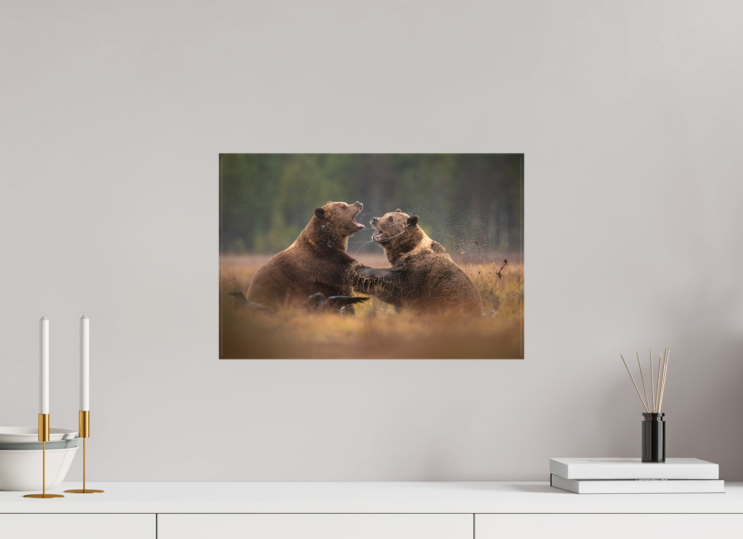 Fighting brown bears
