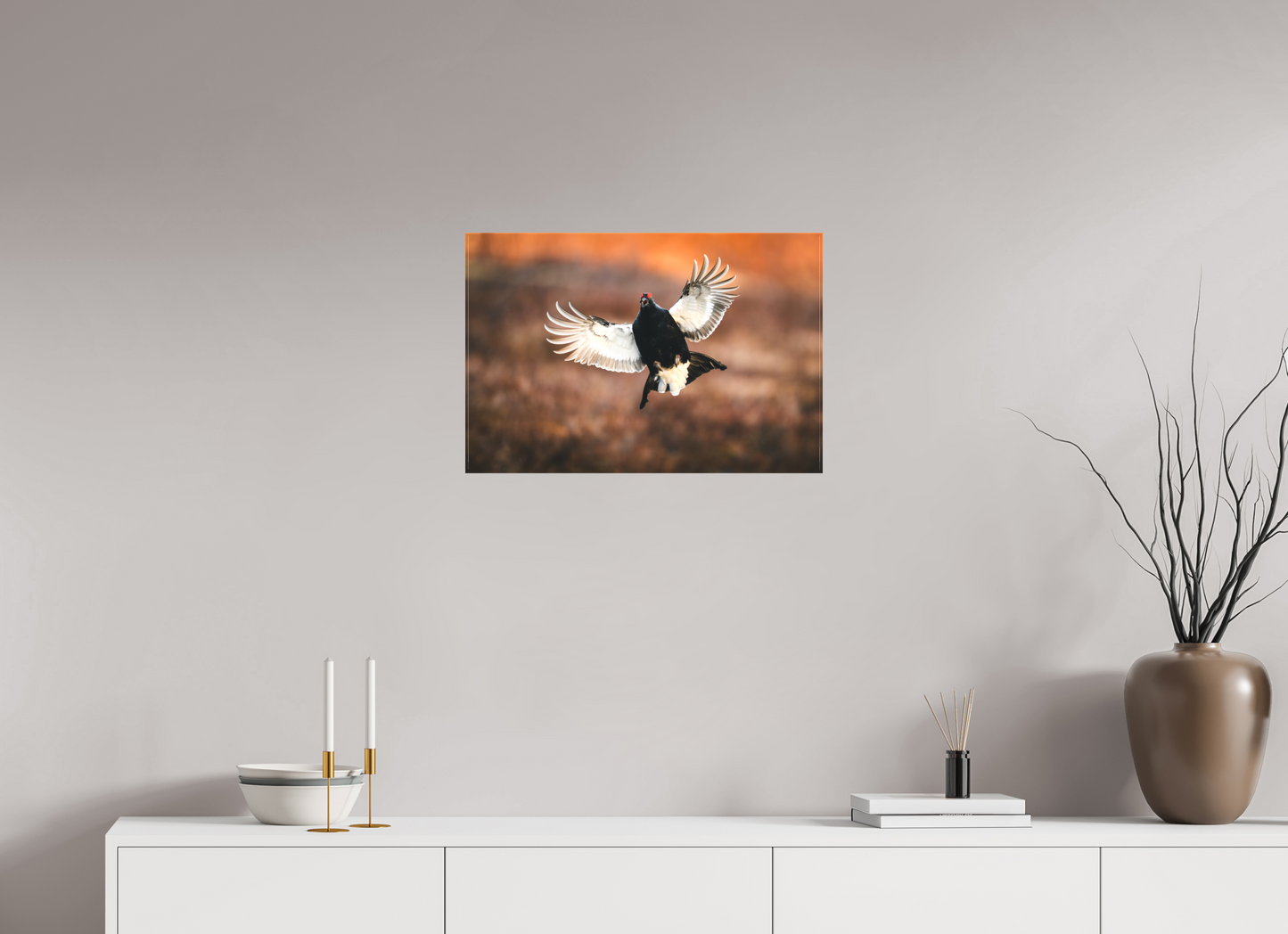Black grouse in flight