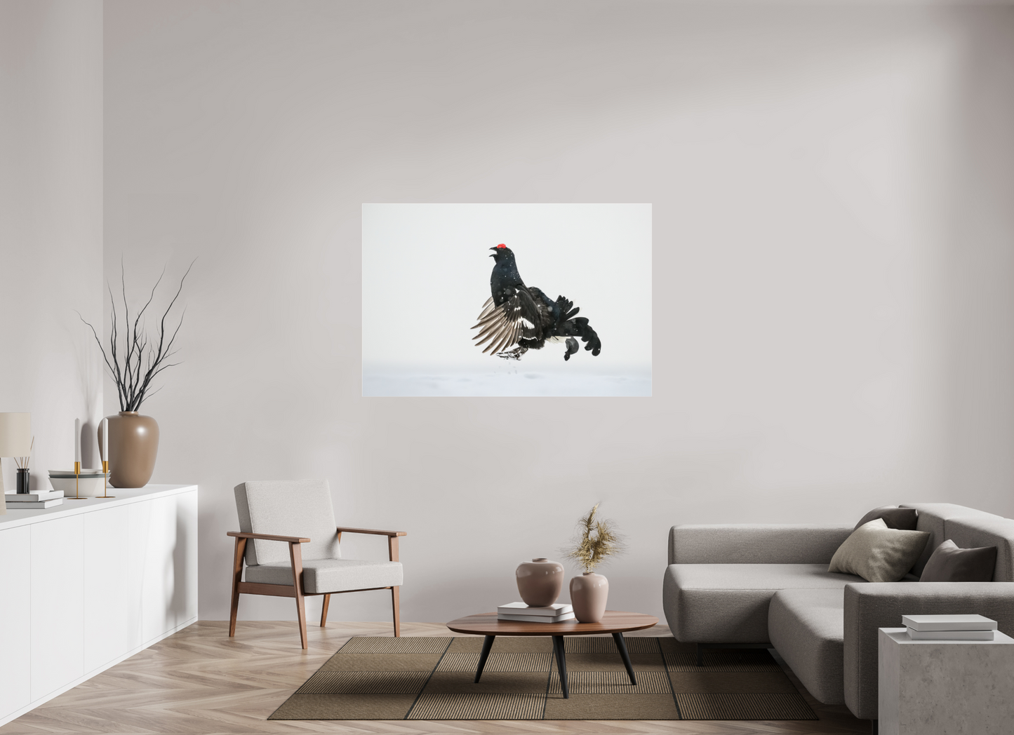 Jumping black grouse
