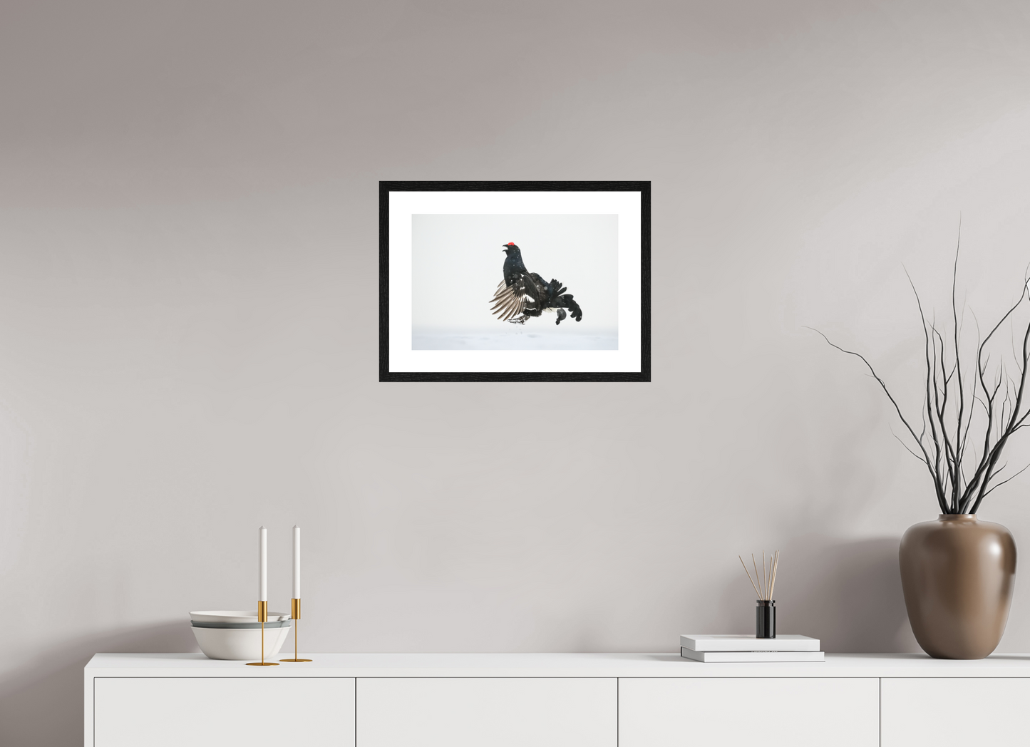 Jumping black grouse