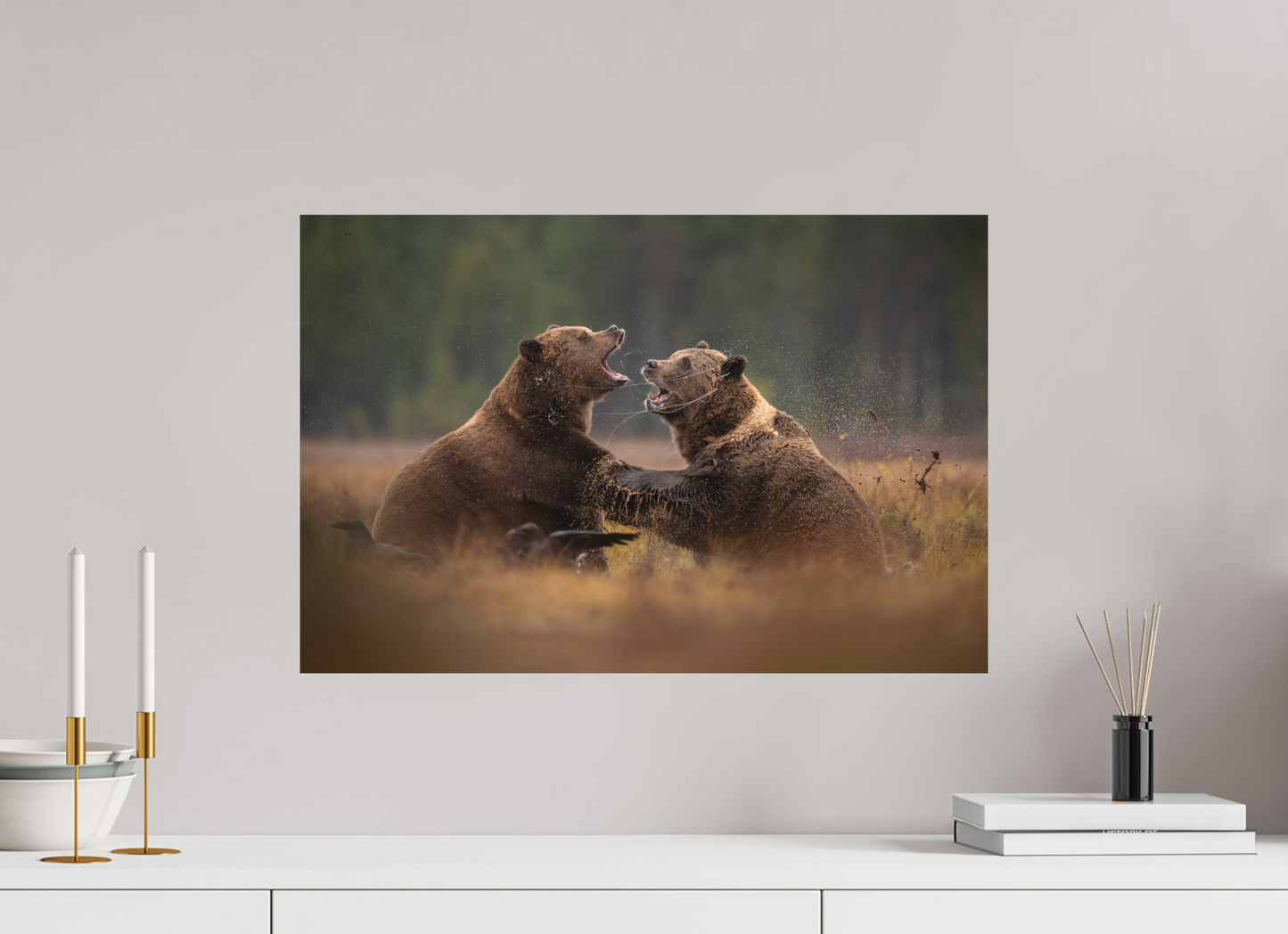 Fighting brown bears