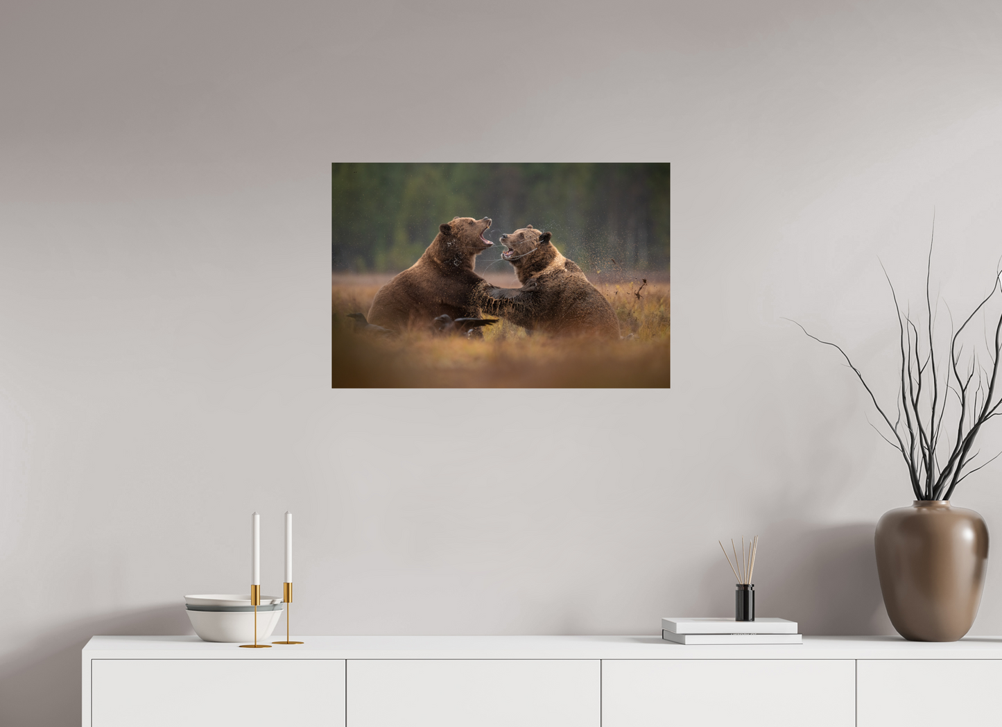 Fighting brown bears