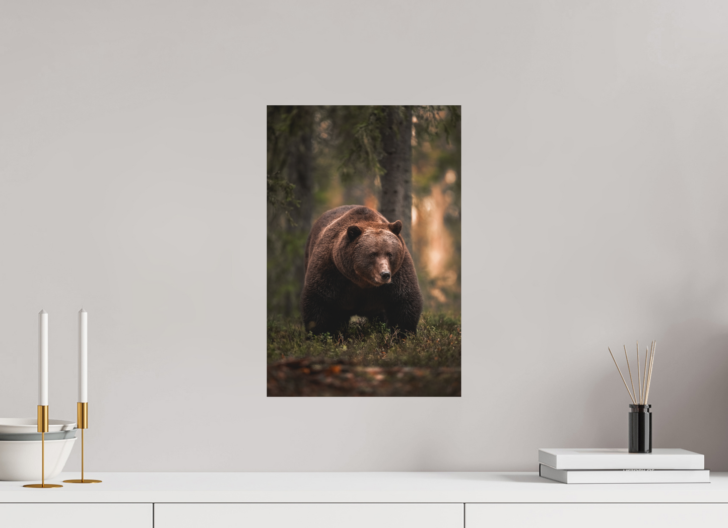 Bear in the evening forest