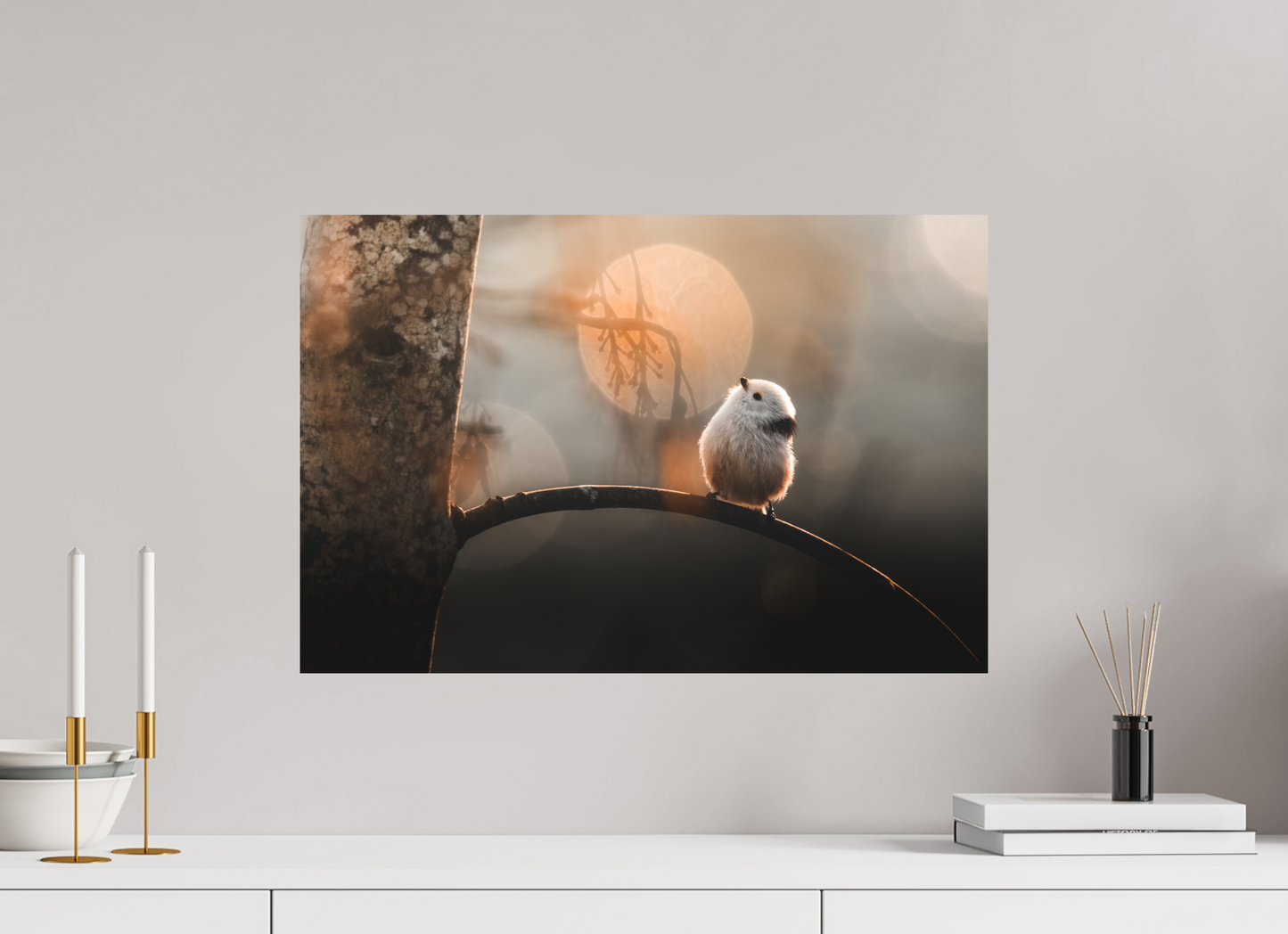 Long tailed tit with bokeh