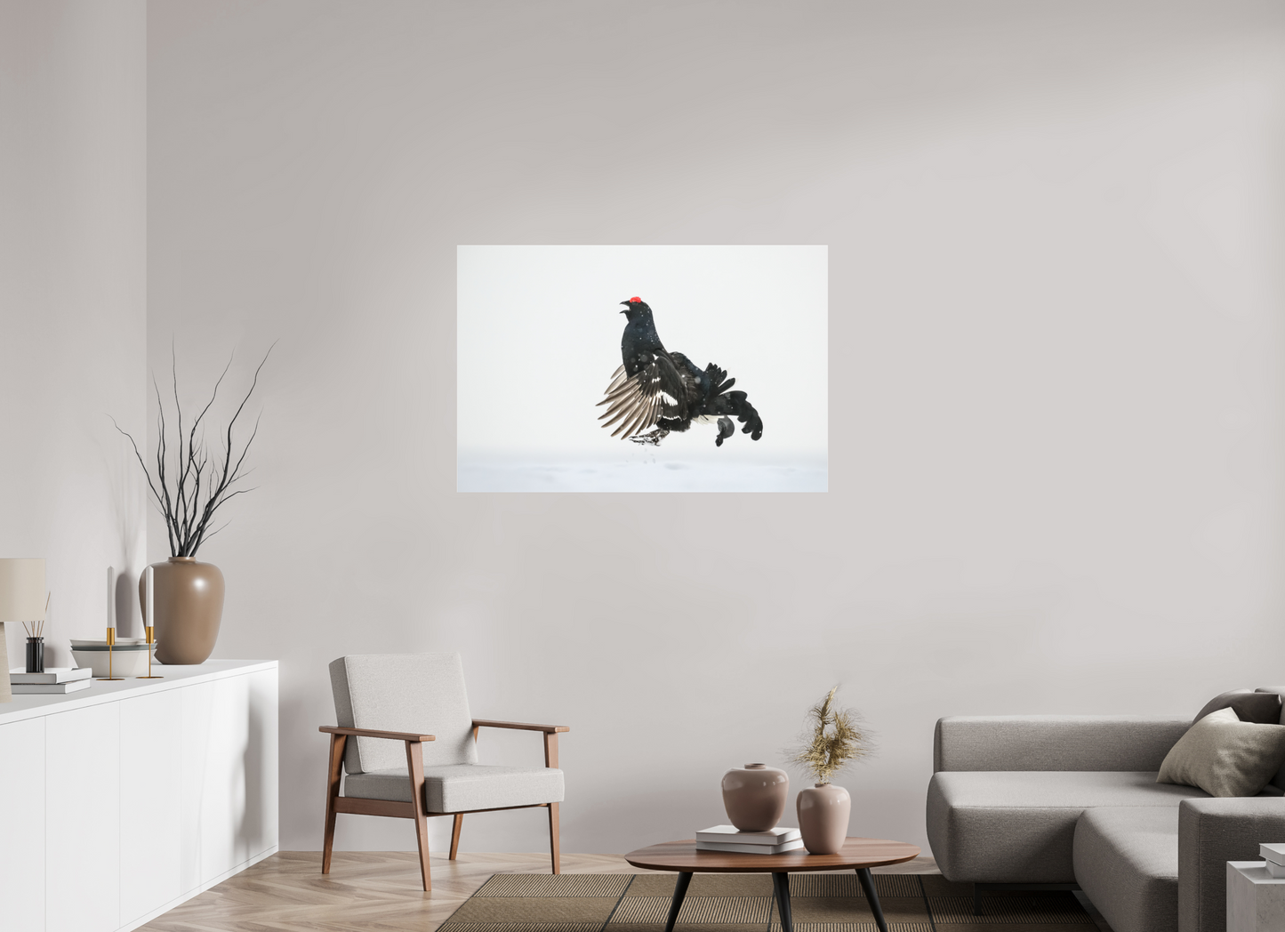 Jumping black grouse