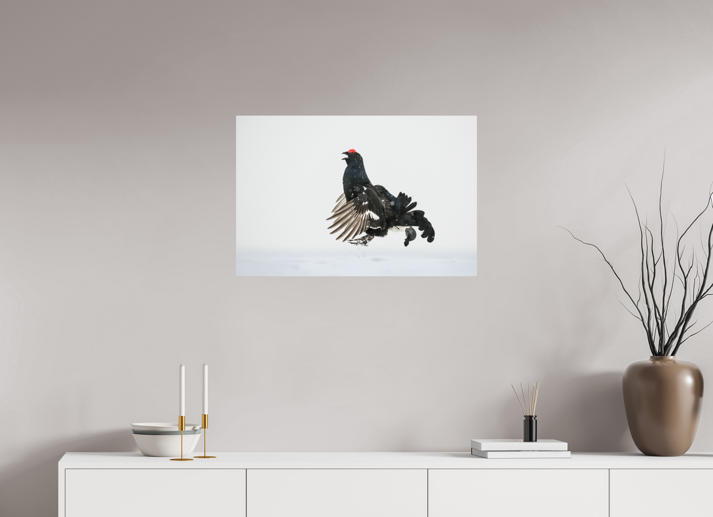 Jumping black grouse