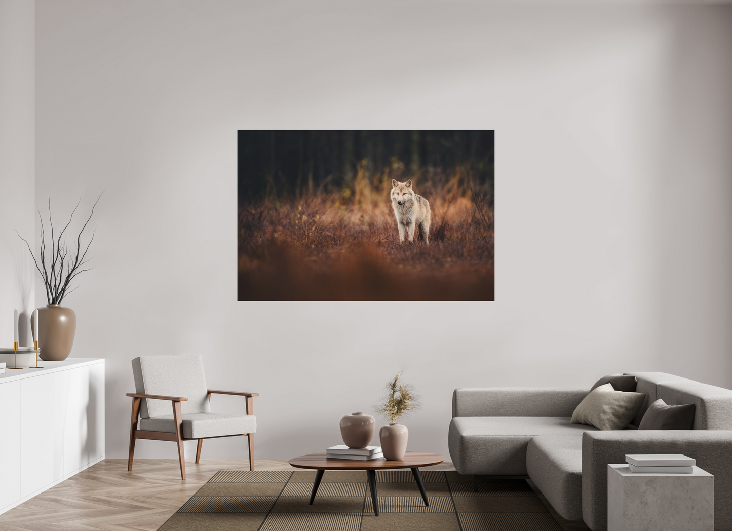 Wolf in autumn surroundings