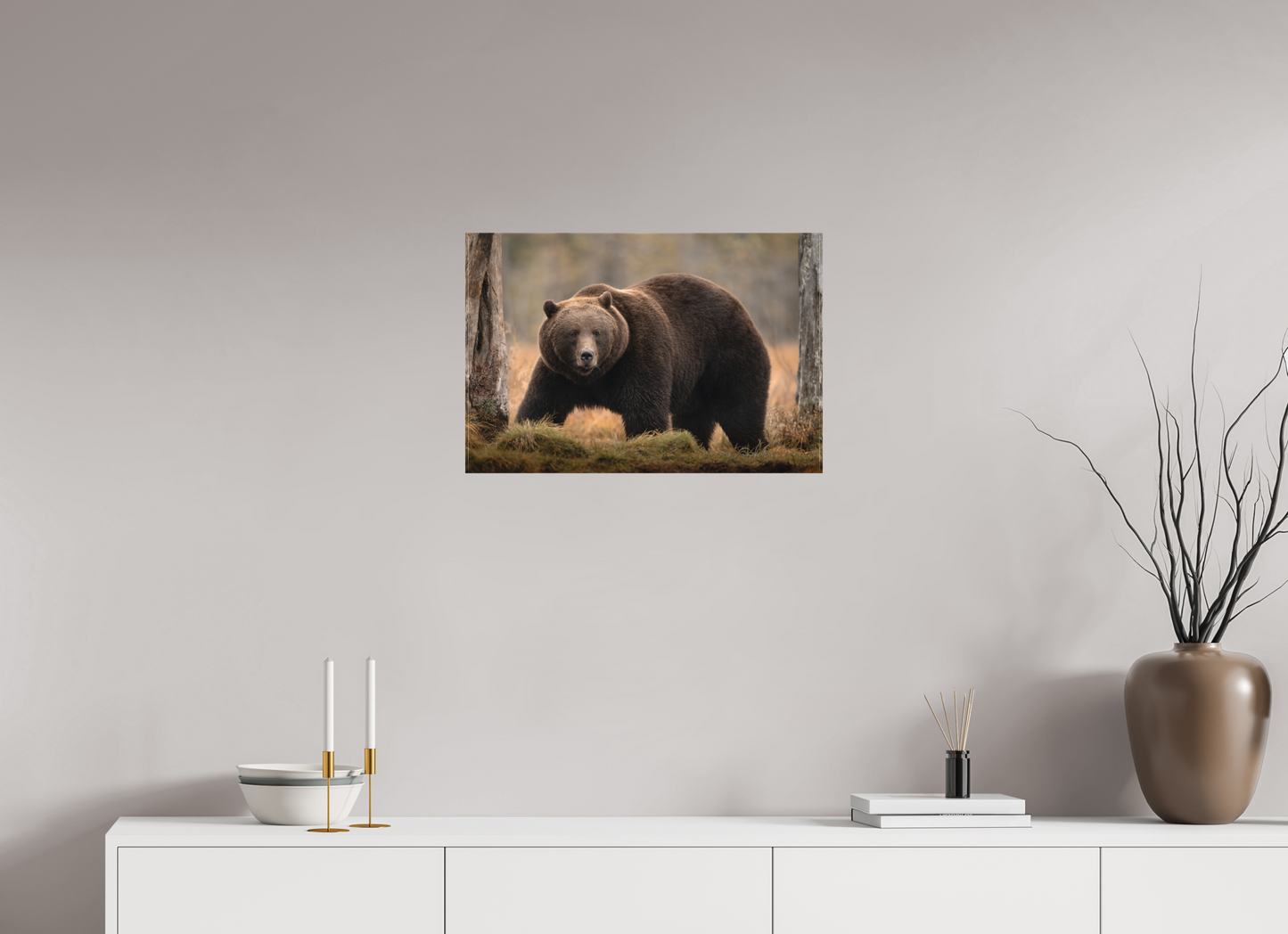 The big brown
