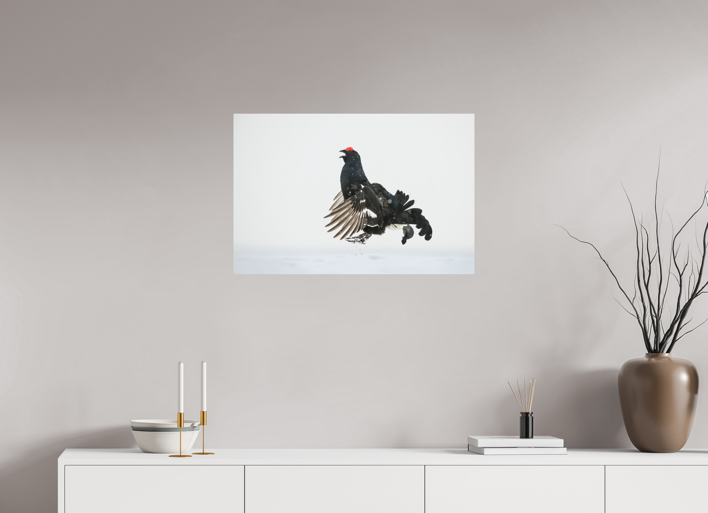 Jumping black grouse