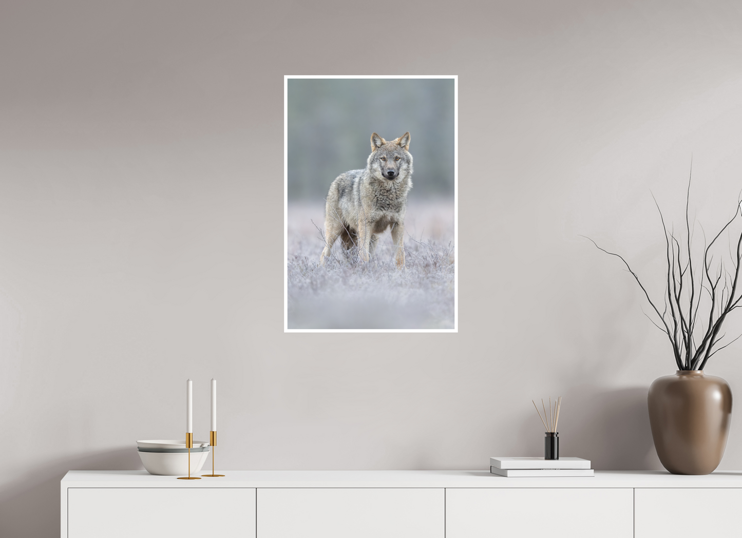 Wolf on frozen ground