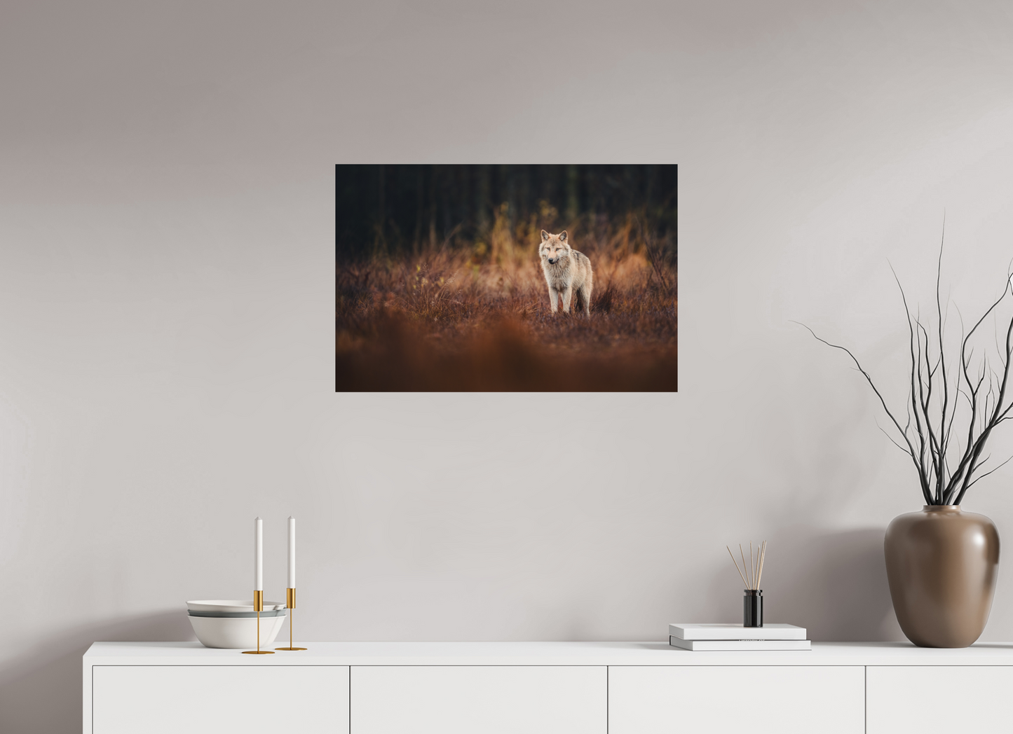 Wolf in autumn surroundings