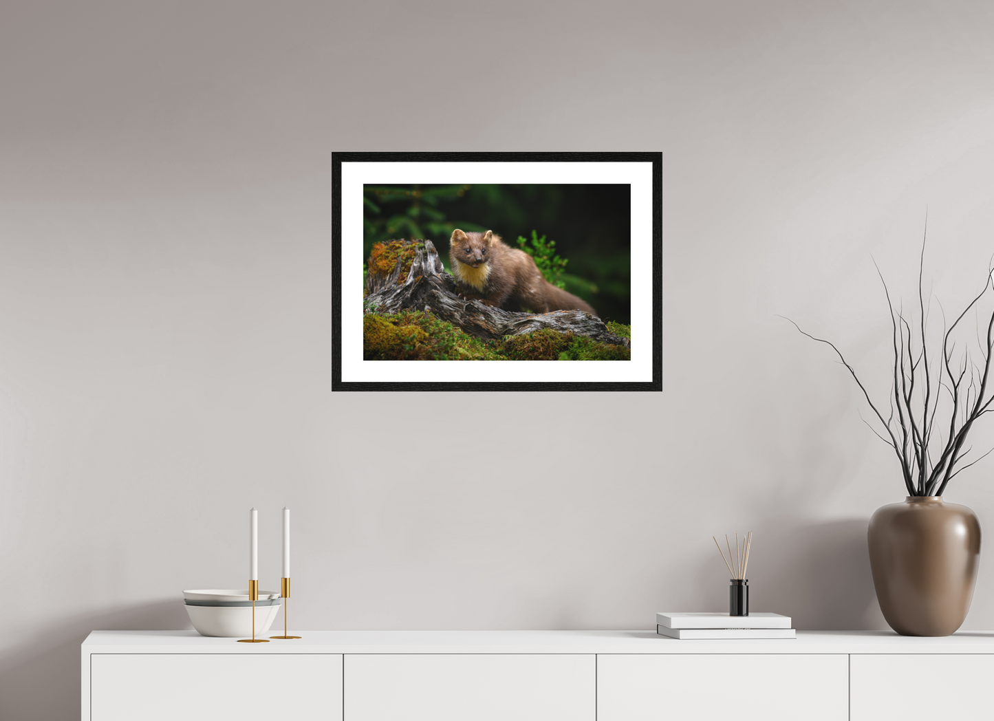 Pine marten on old tree root