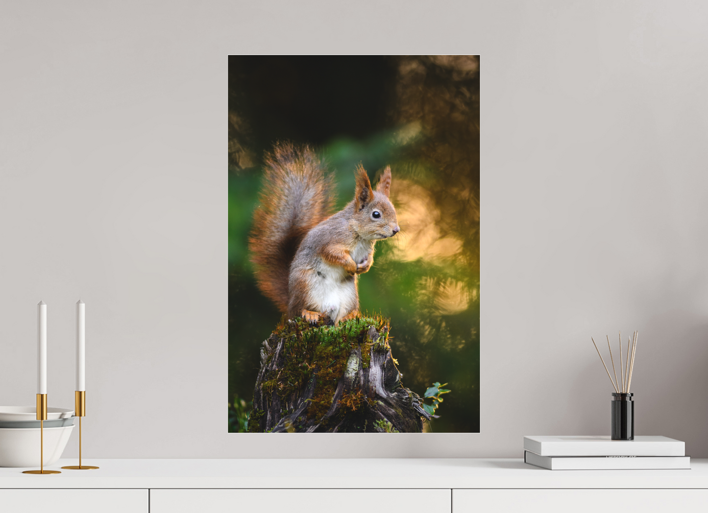 Squirrel in the summer forest