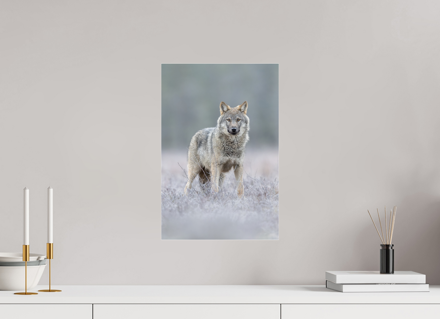 Wolf on frozen ground