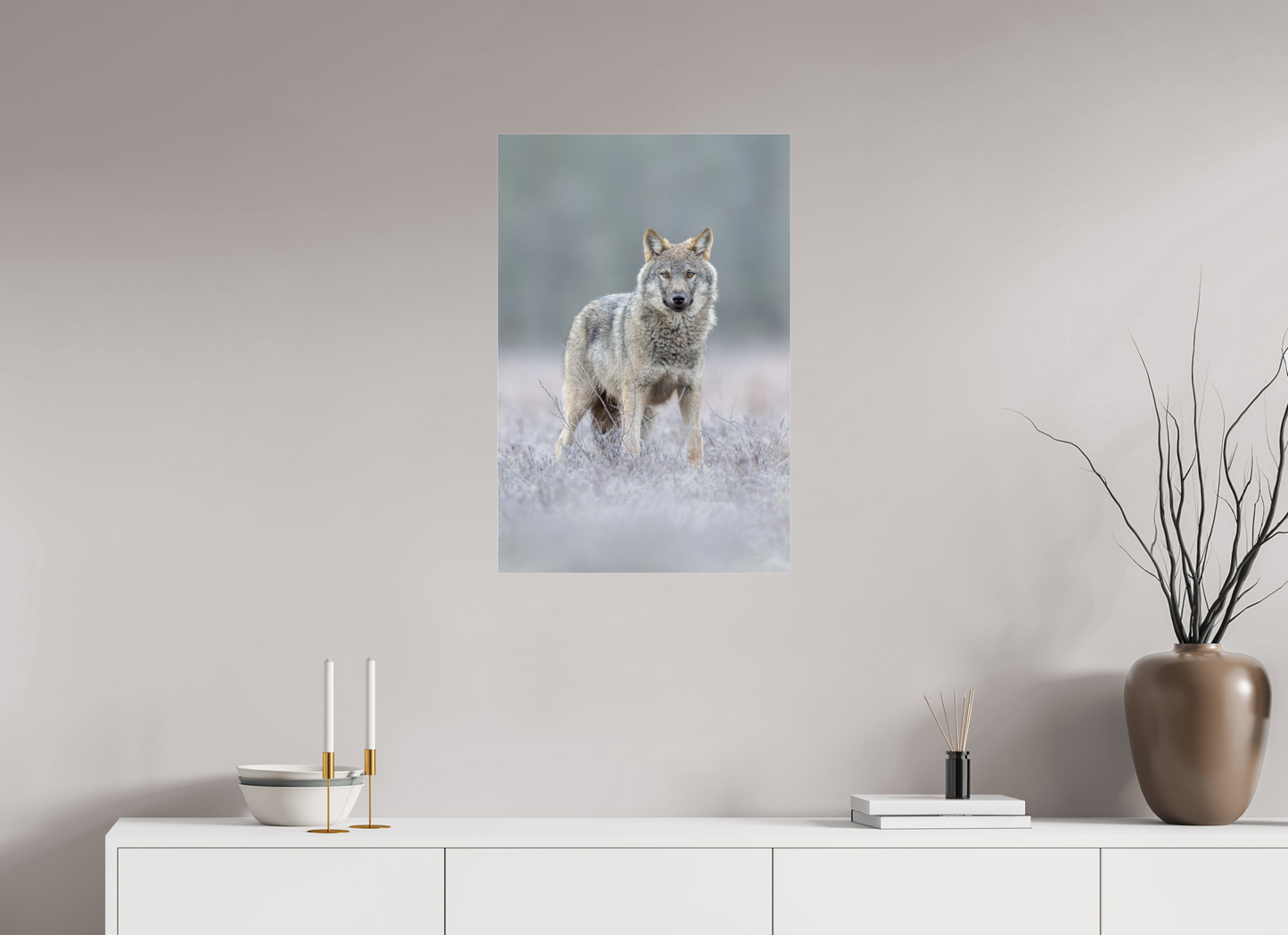 Wolf on frozen ground