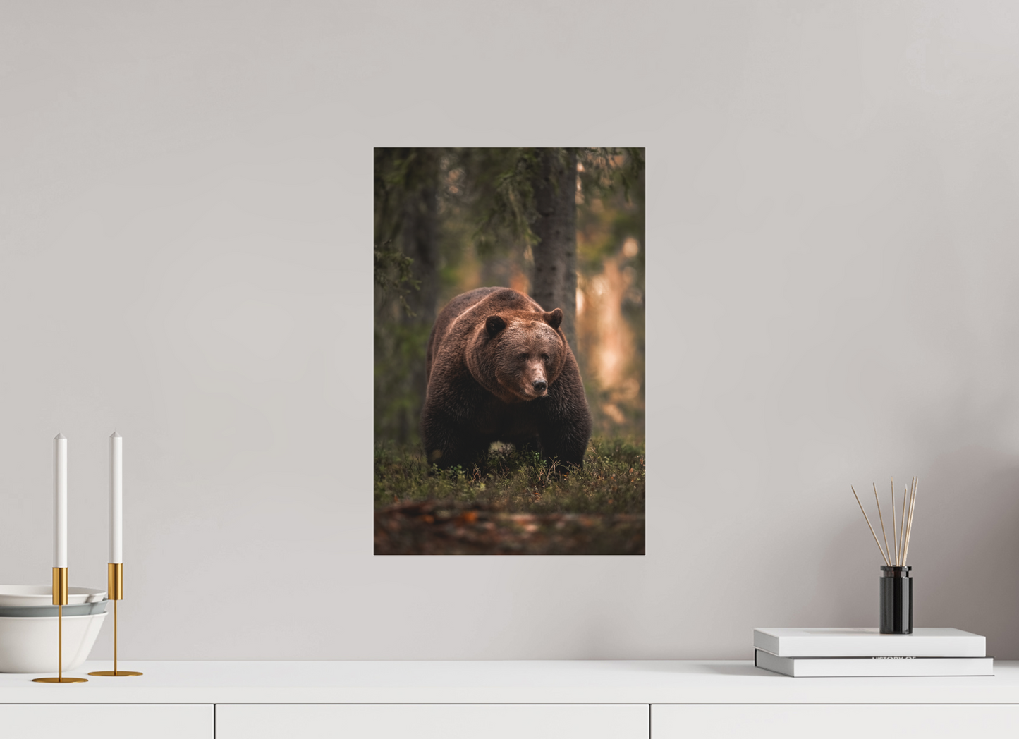 Bear in the evening forest