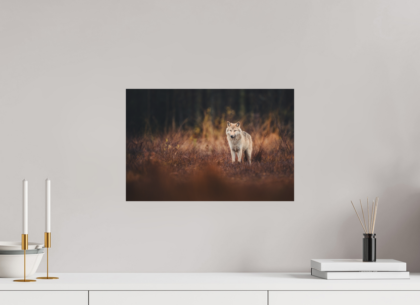 Wolf in autumn surroundings
