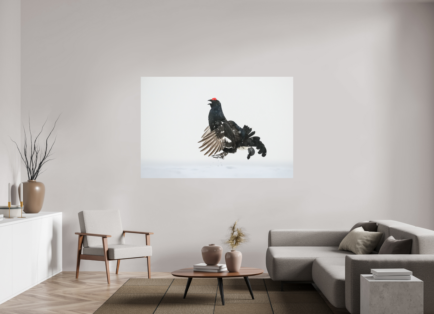 Jumping black grouse