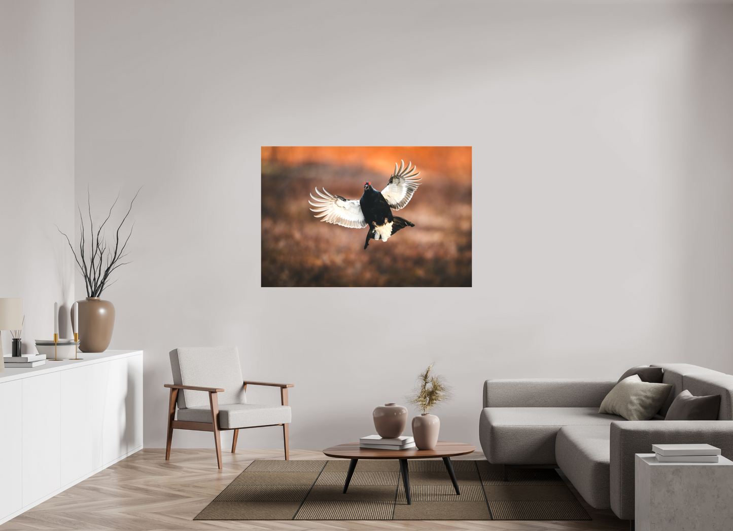 Black grouse in flight