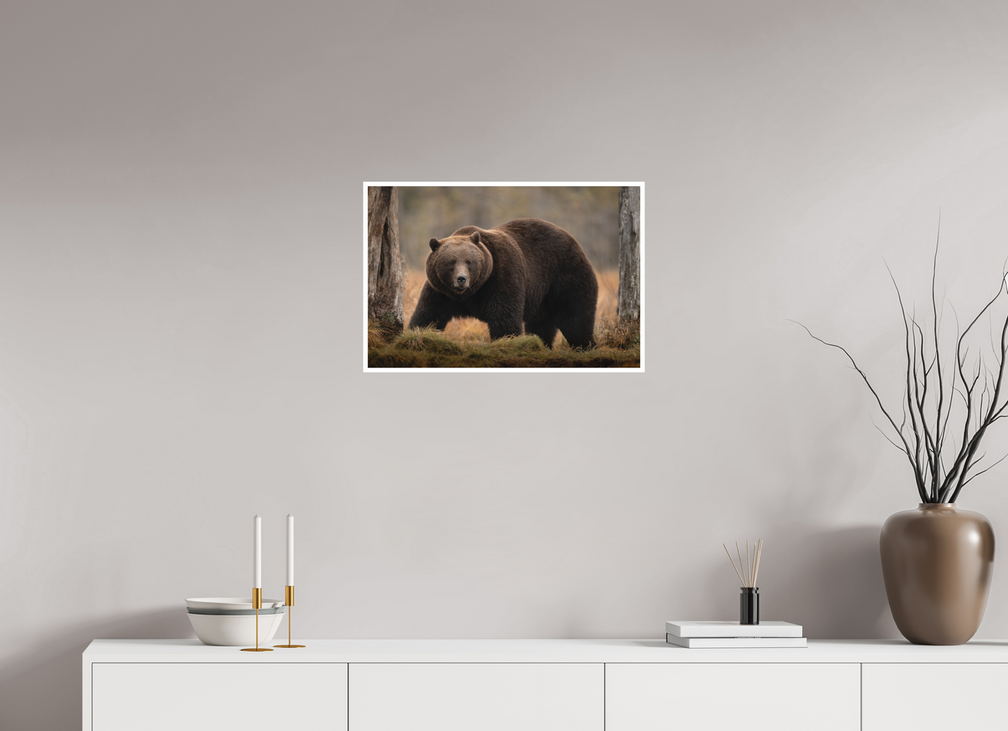 The big brown