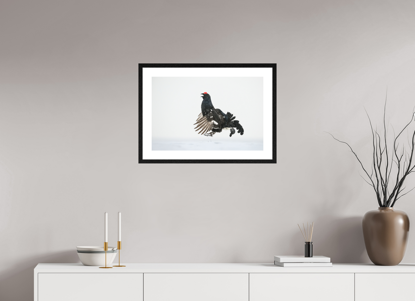 Jumping black grouse
